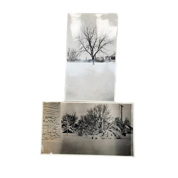 Vtg Snow Scene Tree & Bushes Original Monochrome Photography Found Lot of 2 - Picture 1 of 4